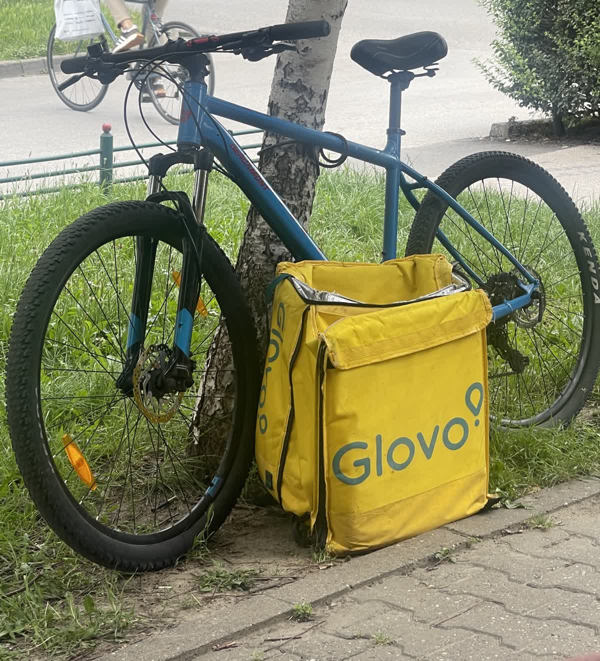 Slika ukradenog bicikla