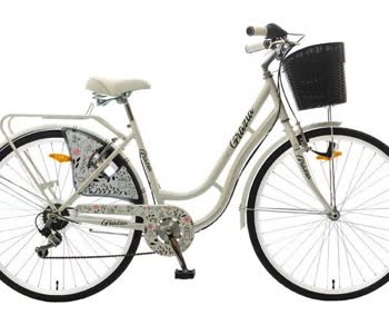 Slika ukradenog bicikla