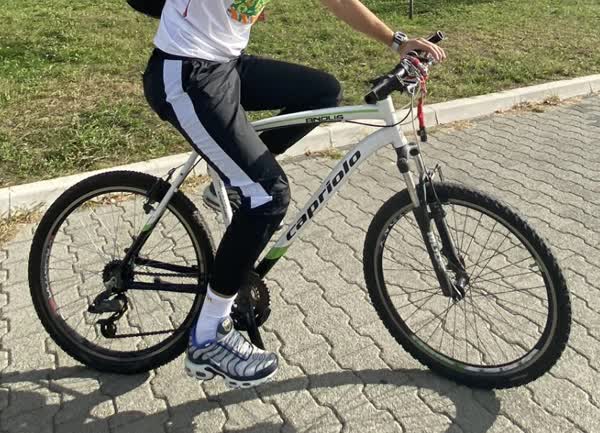 Slika ukradenog bicikla