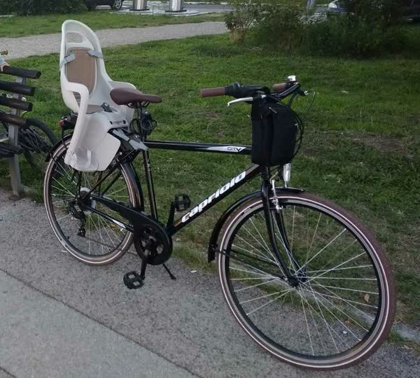 Slika ukradenog bicikla