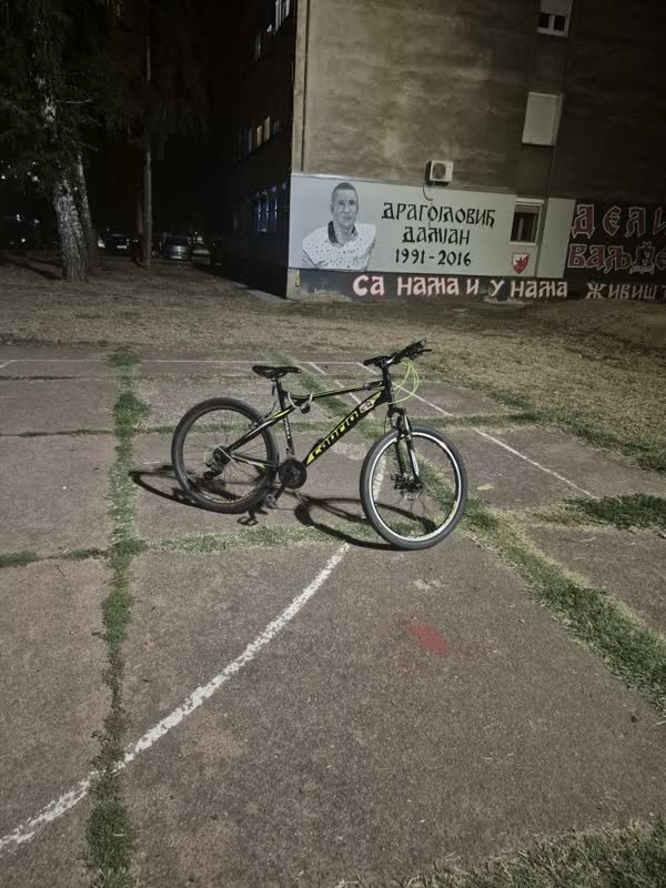 Slika ukradenog bicikla