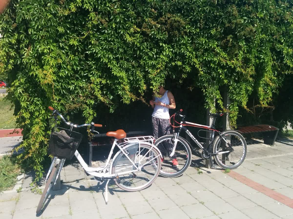 Slika ukradenog bicikla
