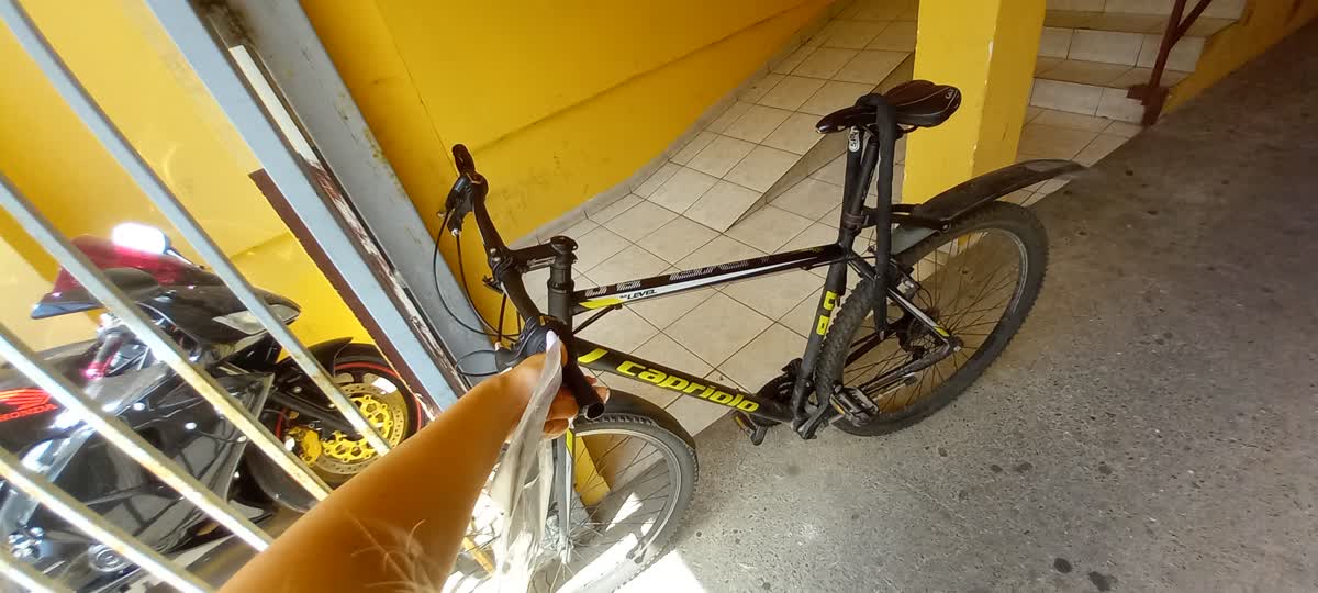 Slika ukradenog bicikla
