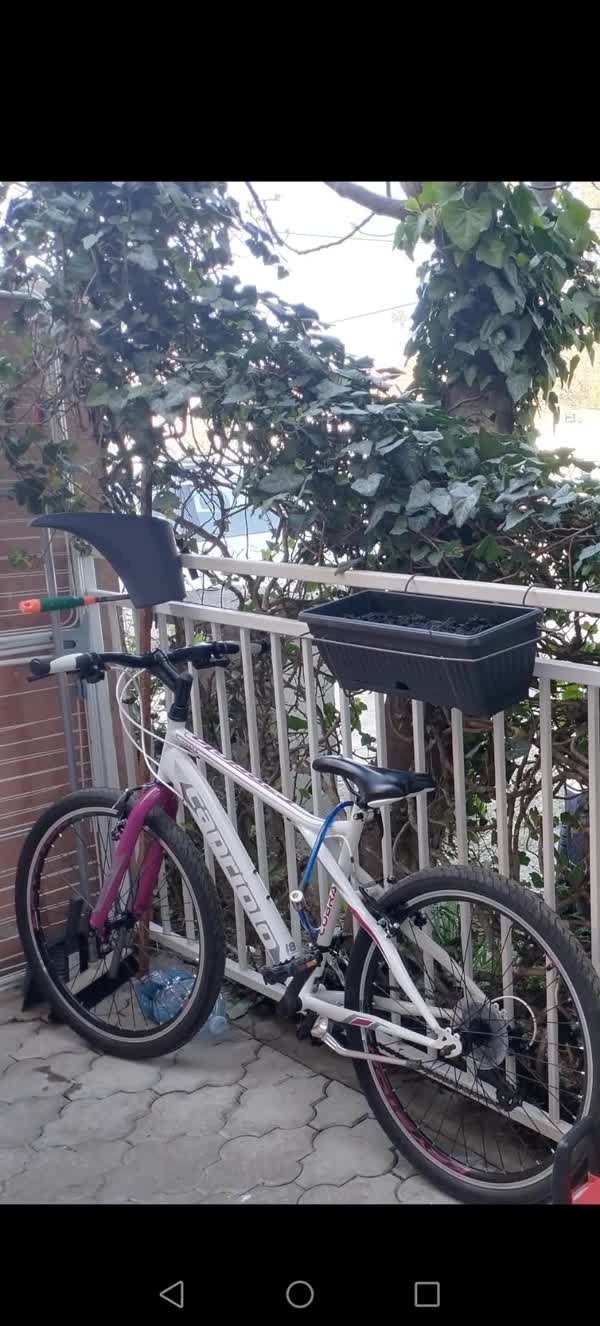 Slika ukradenog bicikla