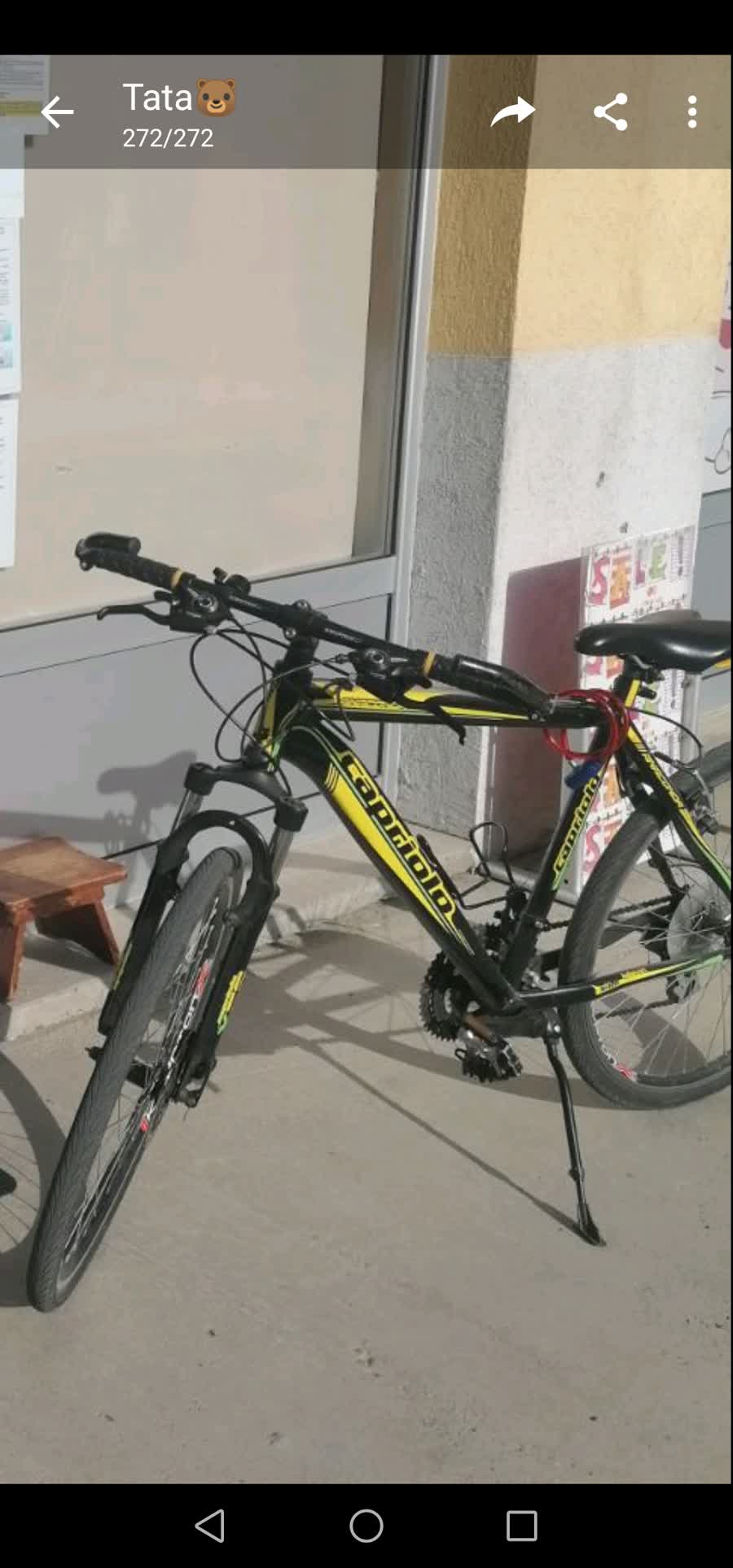 Slika ukradenog bicikla