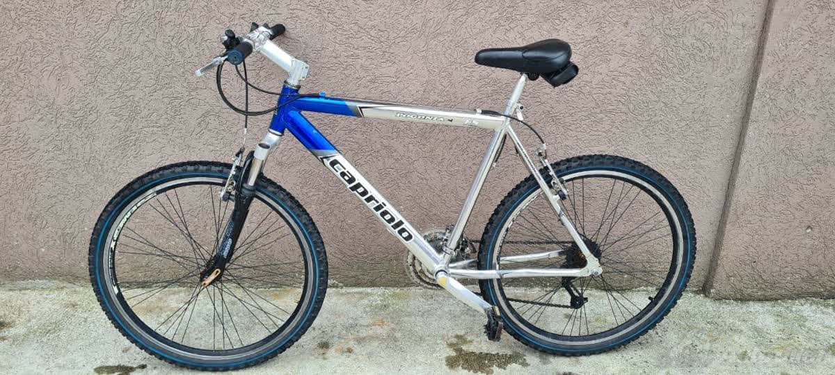 Slika ukradenog bicikla