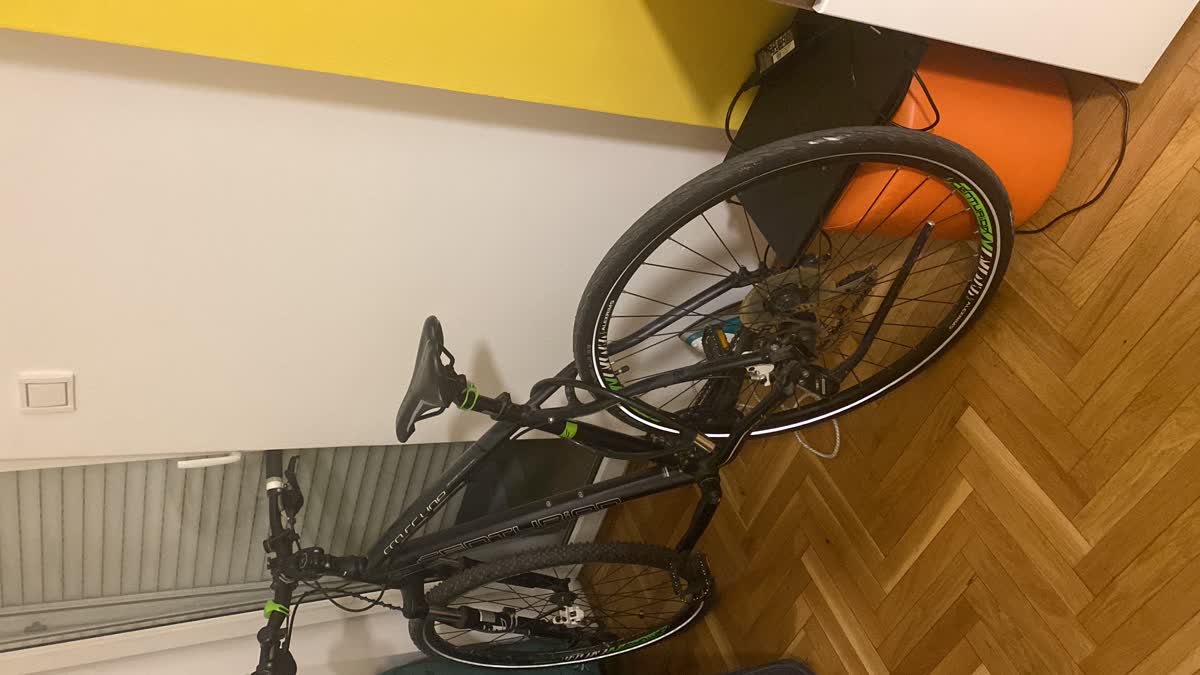 Slika ukradenog bicikla