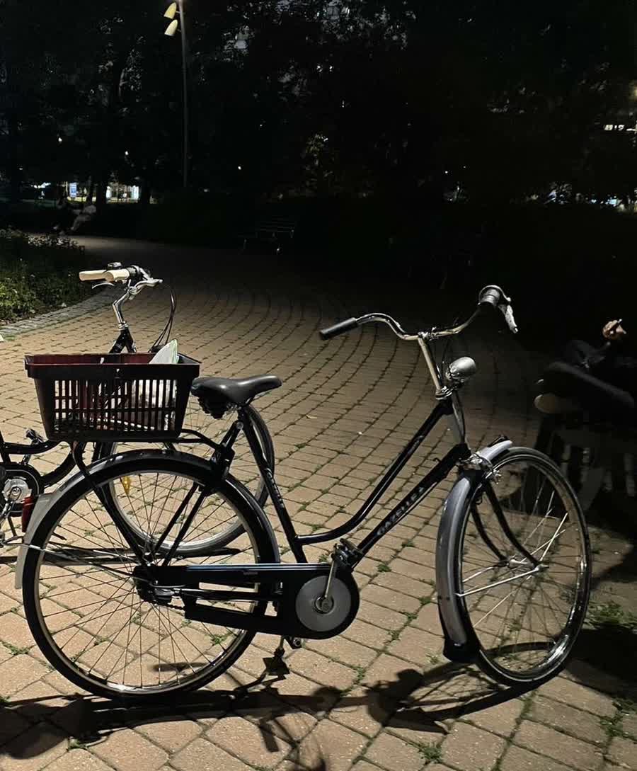 Slika ukradenog bicikla