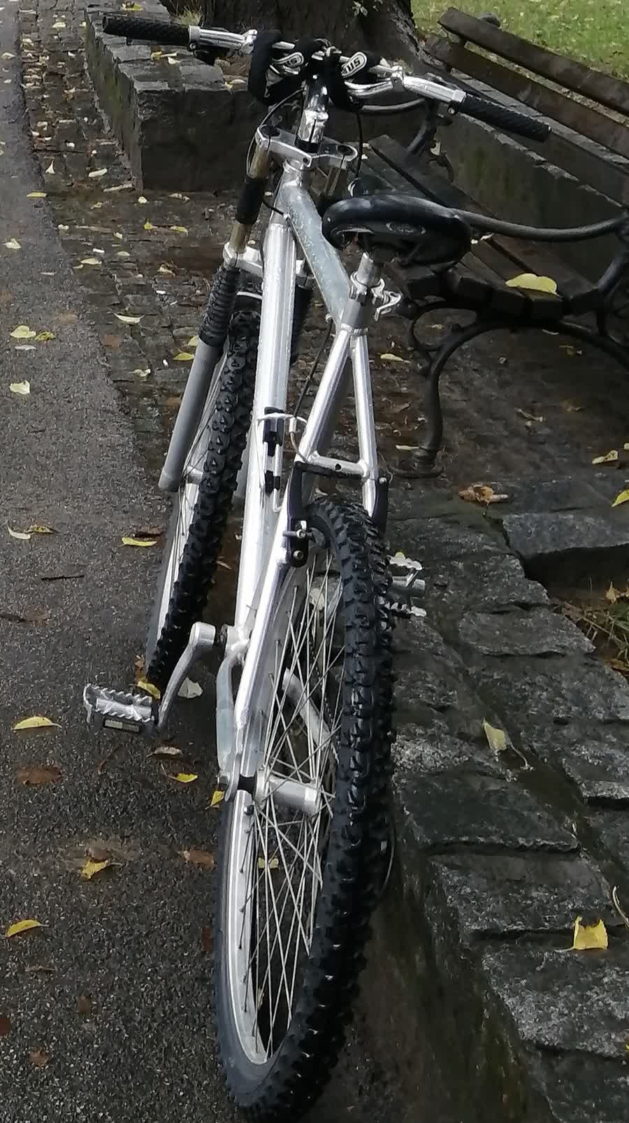 Slika ukradenog bicikla