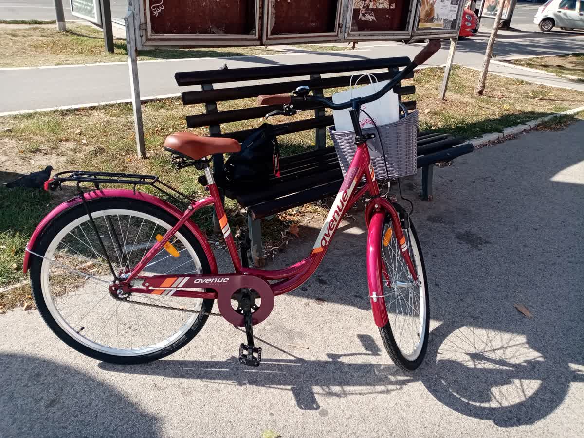 Slika ukradenog bicikla