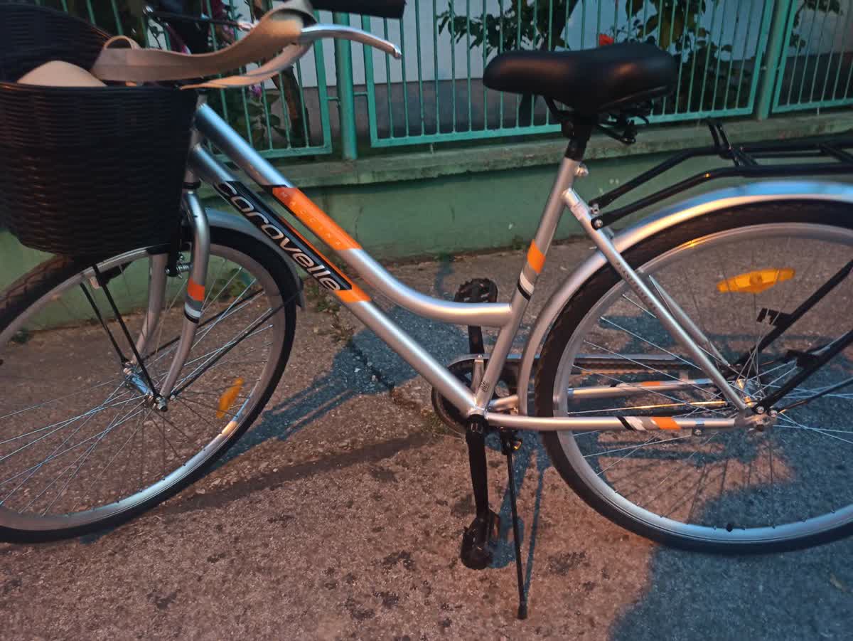 Slika ukradenog bicikla