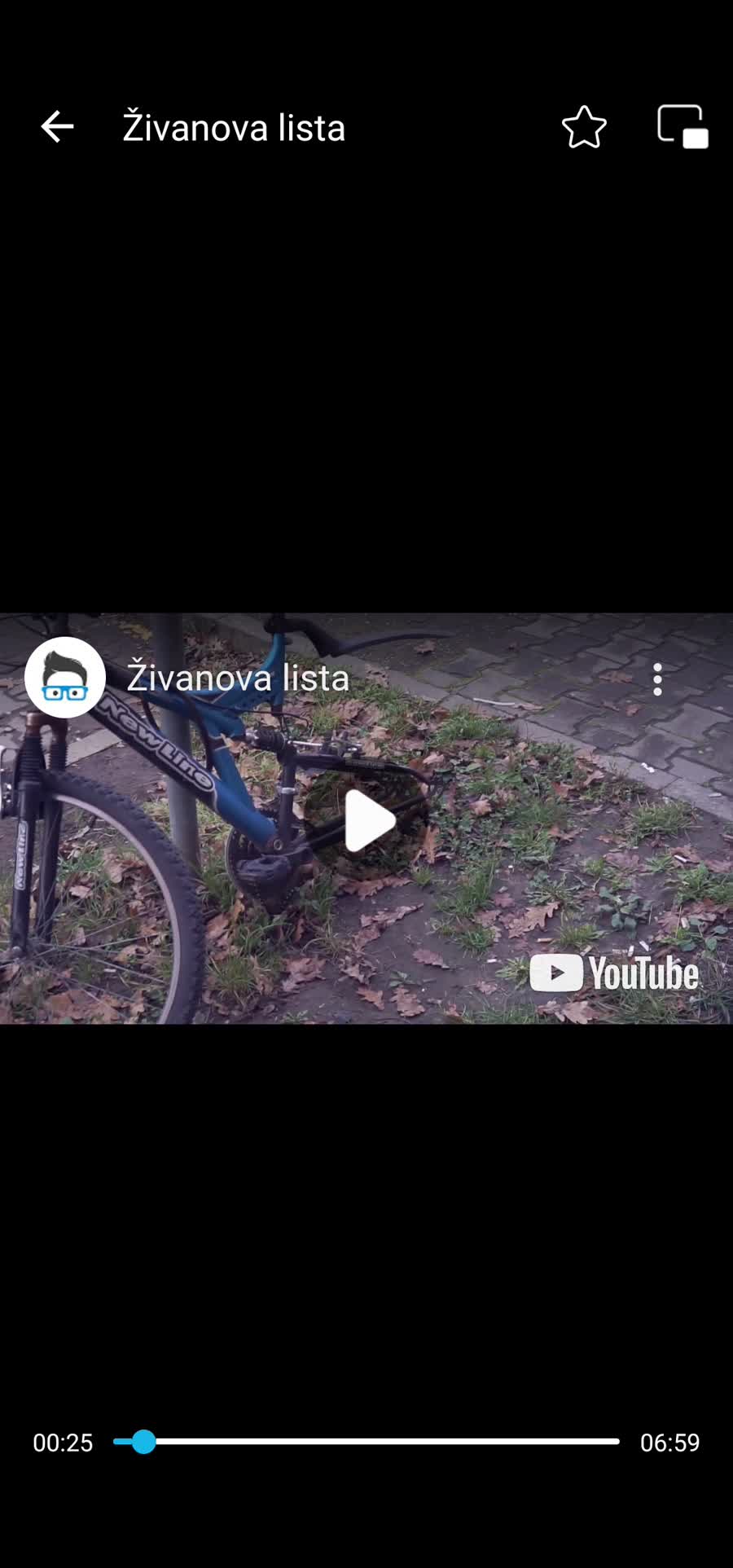 Slika ukradenog bicikla