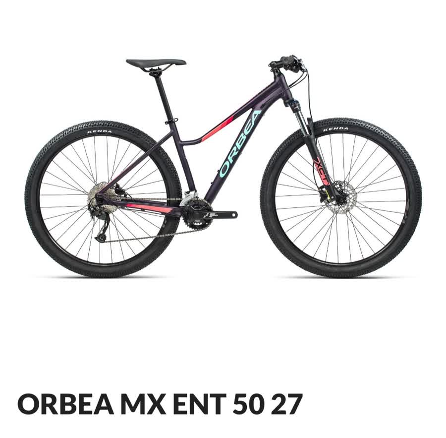 Slika ukradenog bicikla