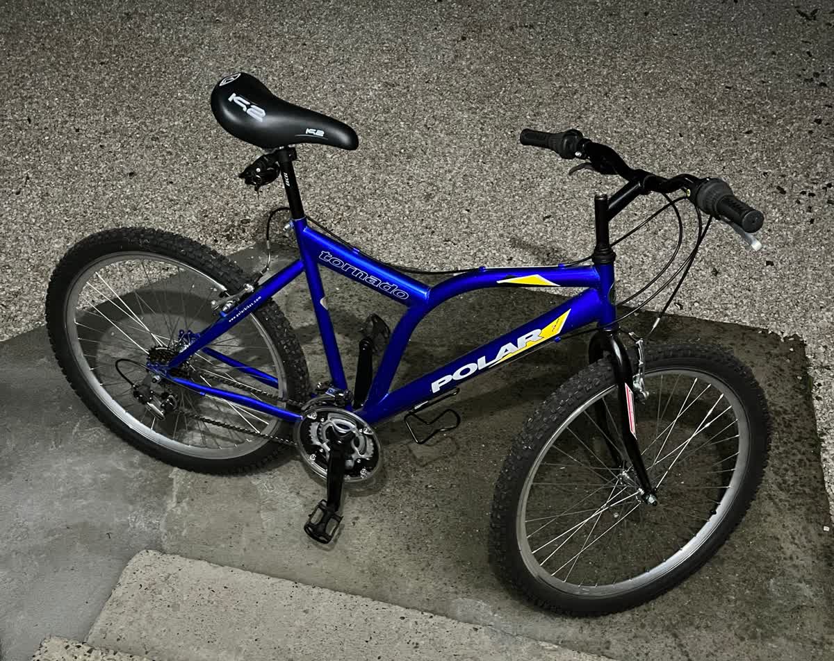 Slika ukradenog bicikla