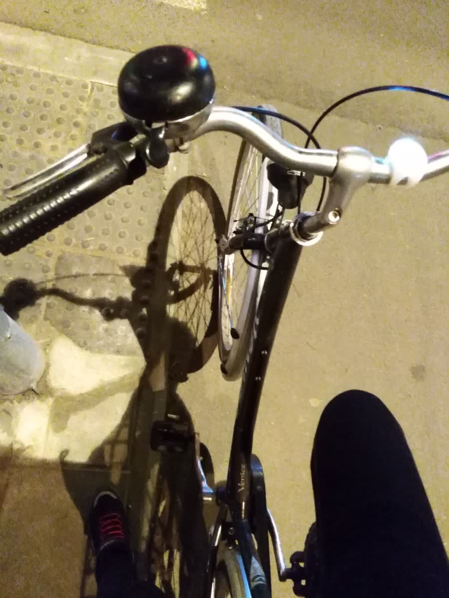 Slika ukradenog bicikla